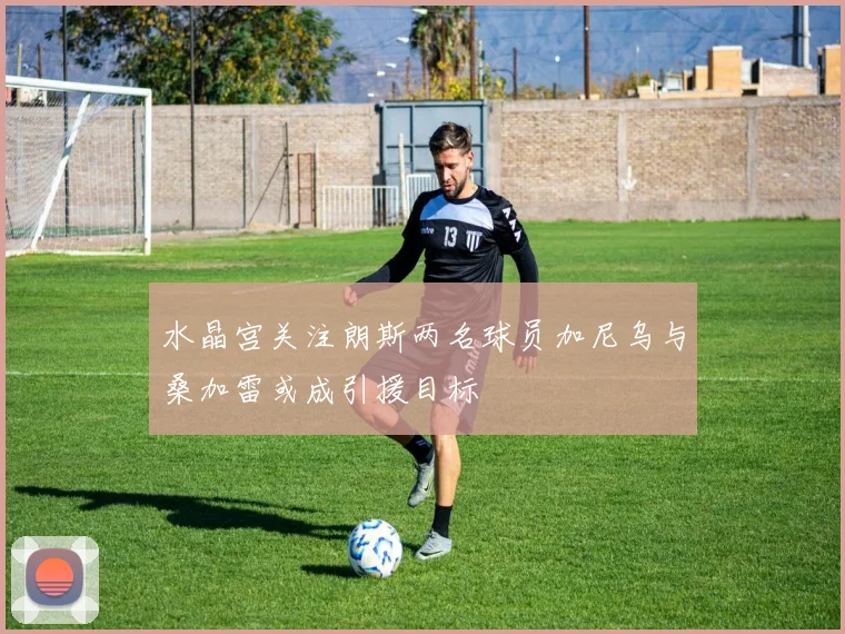 水晶宫关注朗斯两名球员加尼乌与桑加雷或成引援目标