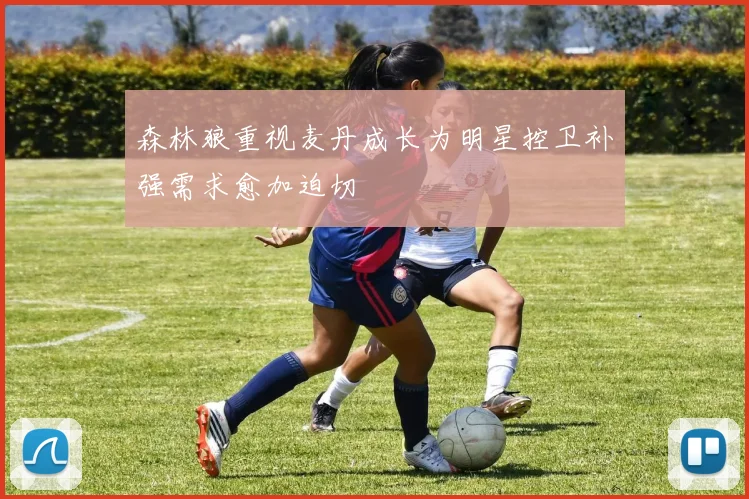 森林狼重视麦丹成长为明星控卫补强需求愈加迫切